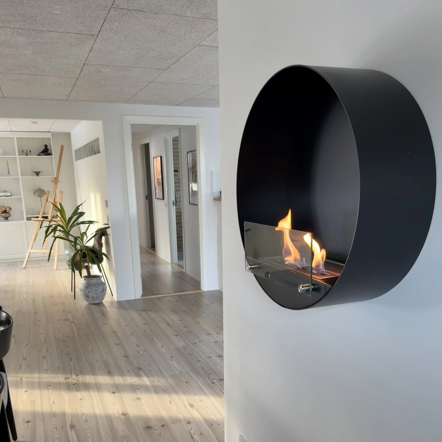 Delaware zwart - ronde wandinbouw biohaard